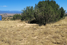 Colorado, Fremont County, 0.17 Acres Near Florence (Rocky Mountain Fuel Company's second Addition to Williamsburg in sec 19-19-69). TERMS $122/Month