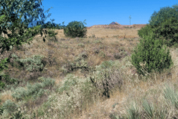 Colorado, Fremont County, 0.4 Acres Near Florence Lot  5-9, 12-13 Adj(United Oil Company's West End Sub). TERMS $82/Month