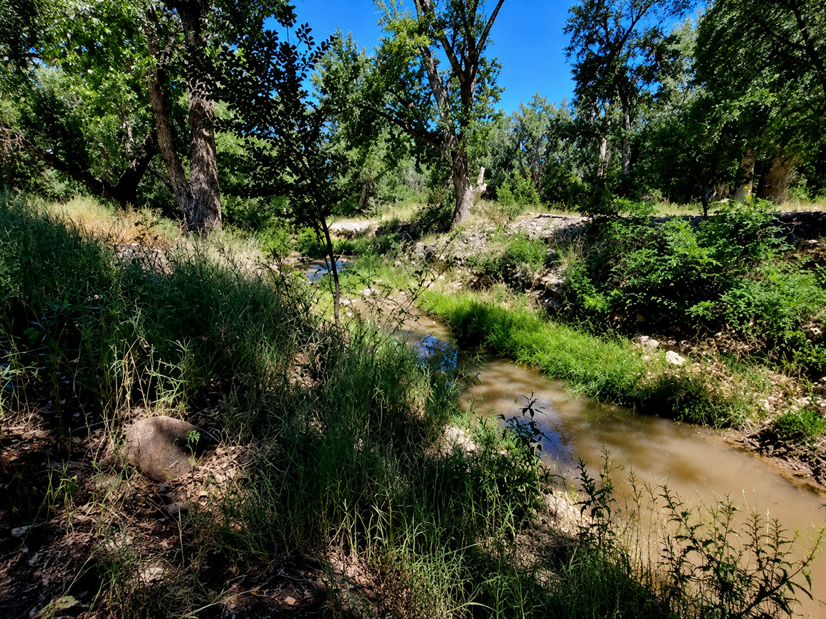 Colorado, Fremont County, 0.25 Acres Chandler Creek SW4 NW4 SE4 SW4 SEC 8-19-69. TERMS $187/Month