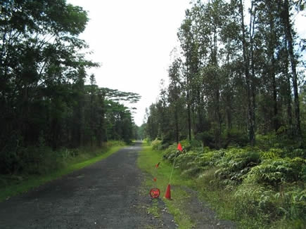Hawaii, Hawaii County, 1/4 Acre Nanawale Estates, Electricity. TERMS $175/Month
