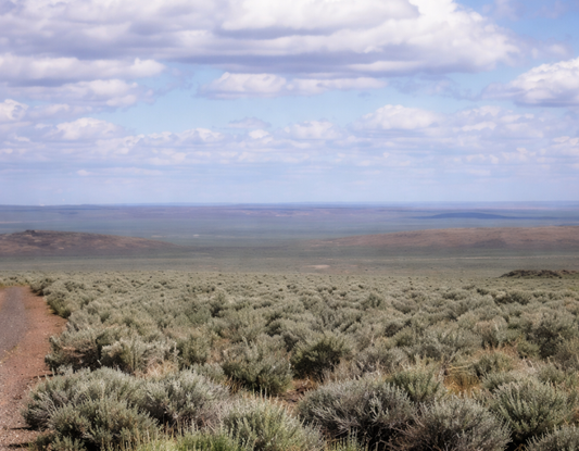 Nouveau-Mexique, comté de Torrance, terrain de 1,5 hectare (3,75 acres) à Moriarity Heights, unité 3, bloc 9, lot 27, électricité incluse. Conditions spéciales : taux de 8 %, 450 $/mois. 