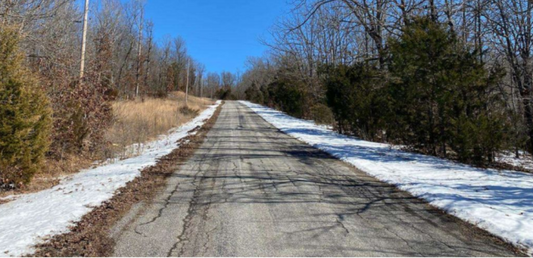 Arkansas, Izard County, 1/3 Acre Capitol Addition, Horseshoe Bend. TERMS $100/Month