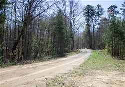 Kentucky, Rock Castle County, 16.02 Acres Chestnut Oak Ridge, Lot 1. TERMS $554/Month
