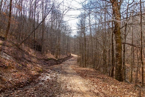 Kentucky, Clay County, 17.37 Acres Blackstone Mountain, Lot 57. TERMS $233/Month