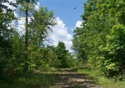 Kentucky, Wayne County, 8.28 Acre Riverbend, Lot 9, Water View. TERMS $511/Month