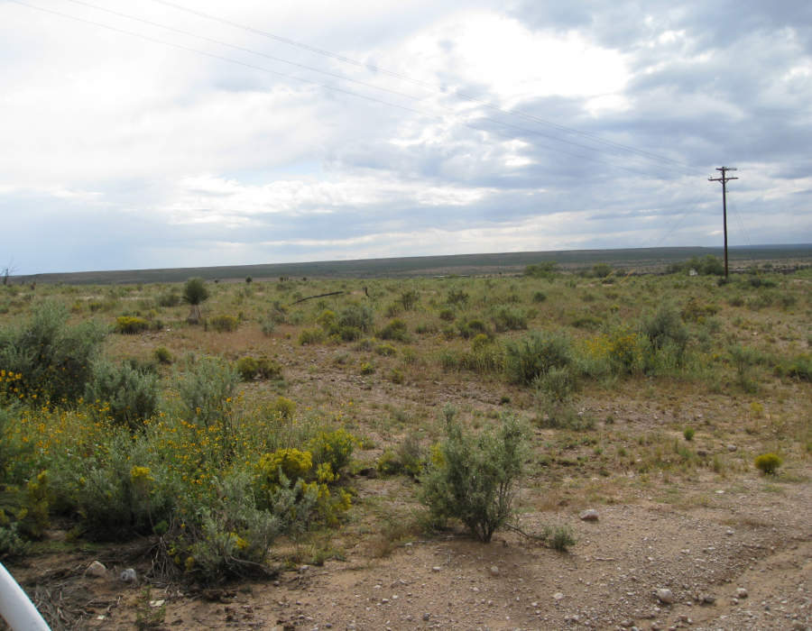 Texas, Hudspeth County, 2.39 Acres La Hacienda Estates , Lot 728. Cash Deal