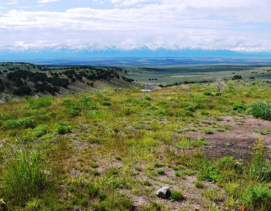 Nevada, Elko County, 20 Acres Last Chance Ranch, Unit 2, Rancho 5, W 1/2, Electricity. Special 8% TERMS $763/Month