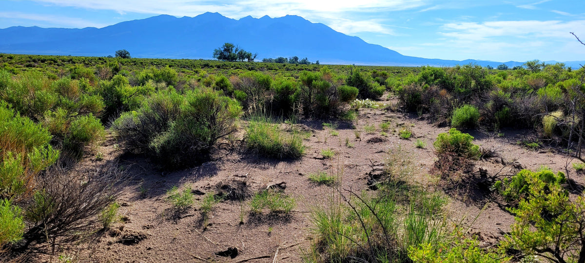 Mount Blanca Valley Ranches - 10.00 acres, Alamosa County, Colorado - photo 1