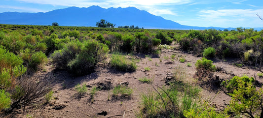 Mount Blanca Valley Ranches - 10.00 acres, Alamosa County, Colorado - photo 1