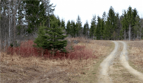 Aerial view of 3.91-acre Sunrise Estates land in Aroostook County, Maine, with visible property boundaries and surrounding landscape.