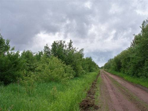 Minnesota, Koochiching County, 20 Acres. TERMS $179/Month