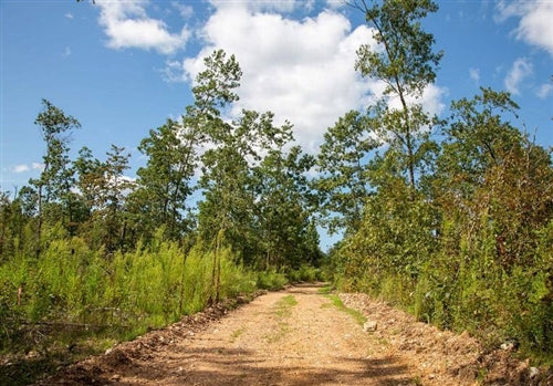 Missouri, Shannon County, 13.06 Acre Borgmann’s Hollow Phase II, Lot 69. TERMS $360/Month