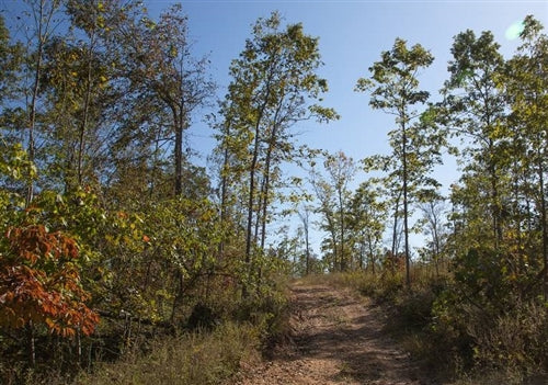 Missouri, Shannon County, 10.32 Acre Borgmann’s Hollow Phase IV, Lot 106. LONG TERMS $302/Month