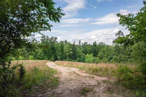 Missouri, Reynolds County, 11.37 Acres  Cypress Ridge, Lot 31. TERMS $614/Month