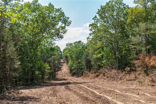 Missouri, Taney County, 10.6 Acres Heritage Bend, Lot 11. TERMS $634/Month