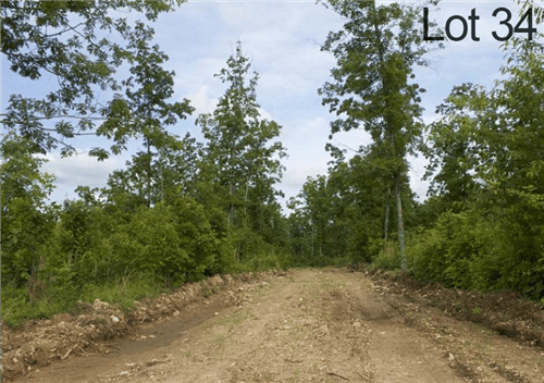 Missouri, Shannon County, 10.76 Acre Thunder Mountain Ranch, Lot 34. TERMS $265/Month