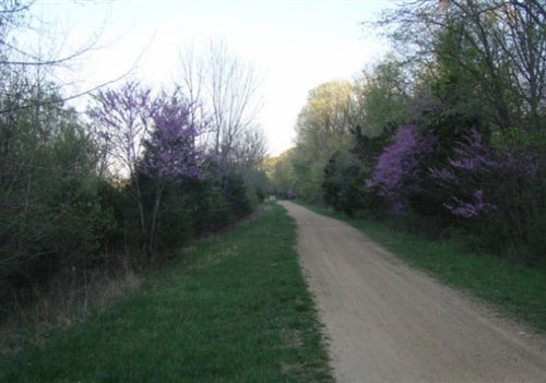 Missouri, Washington County, .21 Acre Rogue Creek, Lot 2. TERMS $125/Month