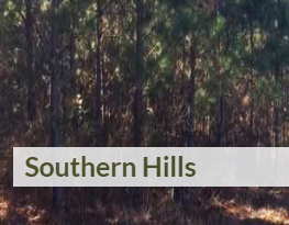 Mississippi, Tishomingo County, 5-8 Acres  Southern Hills, Lots 1-20 . TERMS