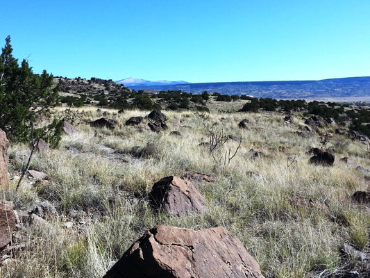 New Mexico, Cibola County, 0.30 Acres Gabaldon, Block 15, Unit 3, Lots 18-19 (2 Adj Lots). TERMS $60/Month
