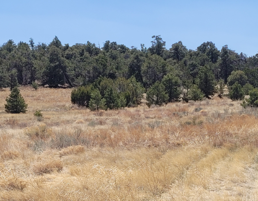 New Mexico, Torrance County, 5 Acre