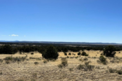 New Mexico, Catron County, 40 Acres Catrone Township 4N, Range 9W, Section 33 NE4SE4.  TERMS $484/Month
