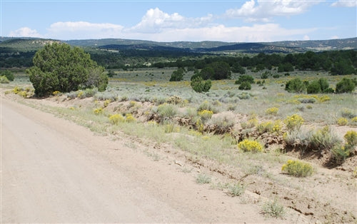 New Mexico, Catron County, 20 Acres Wild Horse Ranch V Lot 17.   TERMS $404/Month