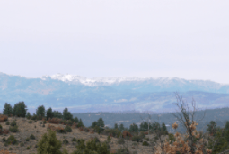 New Mexico, Rio Arriba County, 1.72 Acre Chama River Estates, Lot 18-19 Unit 2, Block 15 (2 Adjoining lots) . TERMS $140/Month