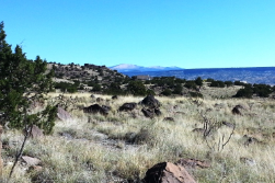 New Mexico, Cibola County, 0.56 Acres Gabaldon, Lots 1,2,3,4 (4 Adj Lots). TERMS $121/Month