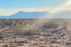 New Mexico, Luna County,  5 Acre Akela Flats Lot 32 Unit 1 Block 1. TERMS $135/Month