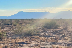 New Mexico, Luna County,  5 Acre Akela Flats Lot 7 Unit 1 Block 1. TERMS $124/Month