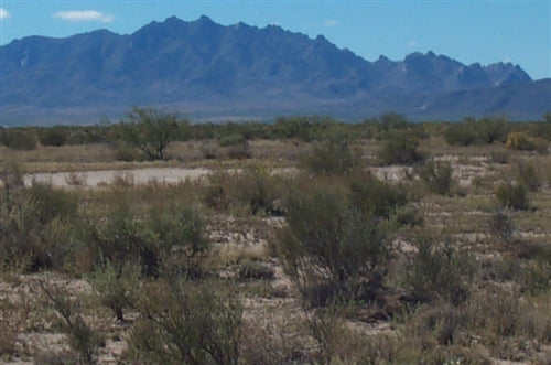 New Mexico, Luna County,  10 Acre Sundance Ranches Lot 28 Block 4. TERMS $0 Down $102/Month