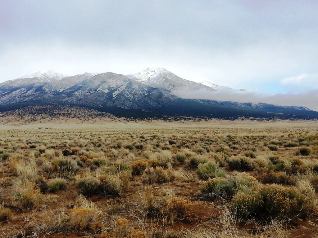 Colorado, Alamosa County, 10 Acres Rural Alamosa SW4 NW4 NW4 10-38-12. TERMS $124/Month