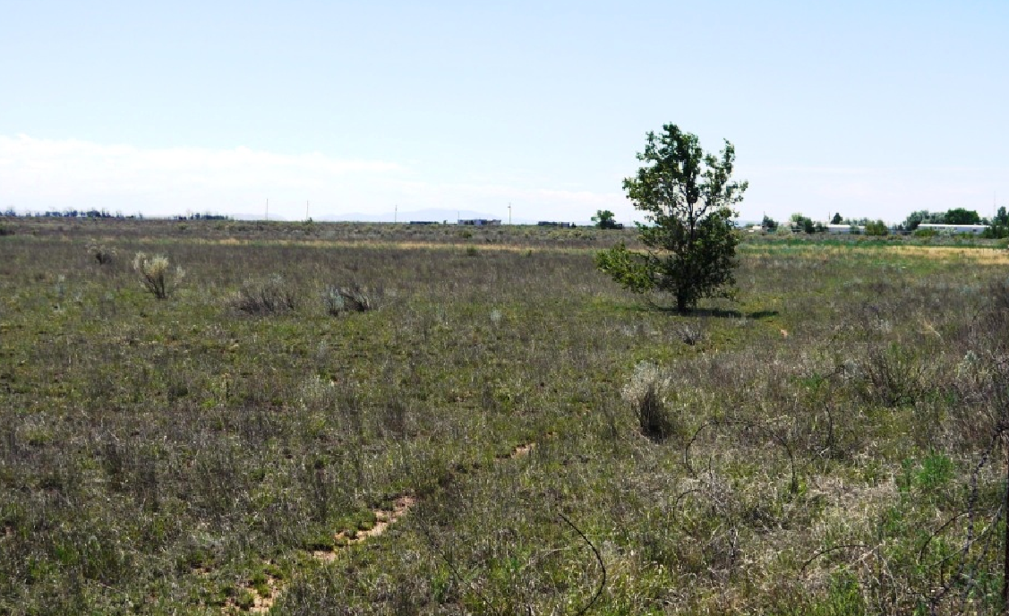 New Mexico, Torrance County, 17.01 Acre North of Estancia Parcel #4 NW4SE4. Special 8% TERMS $447/Month