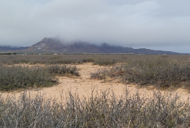 New Mexico, Luna County,  11.88 Acres Pancho Villa Ranches, Lot 237. TERMS $152/Month