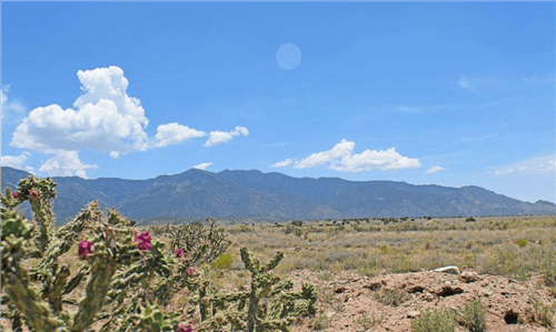 New Mexico, Valencia County, 0.25 Acre Rio Del Oro, Lot 04 Block 41. TERMS $34/Month