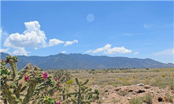 New Mexico, Valencia County, 0.25 Acre Rio Del Oro, Lot 5 Block 42. TERMS $34/Month