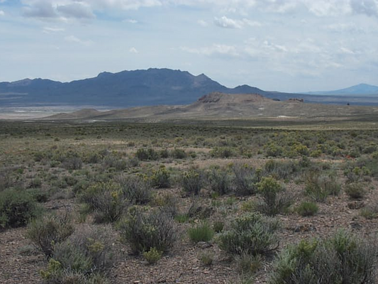 Nevada, Elko County, 40 Acres Mountain Meadow Ranches, Lot 1248. TERMS $358/Month