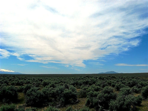 Nevada, Elko County, 2.27 Acres Humboldt River Ranchos. TERMS $160/Month