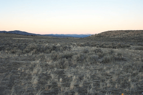 Nevada, Elko County, 40.00 Acres Gamble District, T40N, R67E, Section 31, SE4 NW4. TERMS $326/Month
