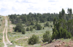 Nevada, Humboldt County, 9 Acres Near Battle Mountain, Lots 17&18  Section 25. TERMS $368/Month