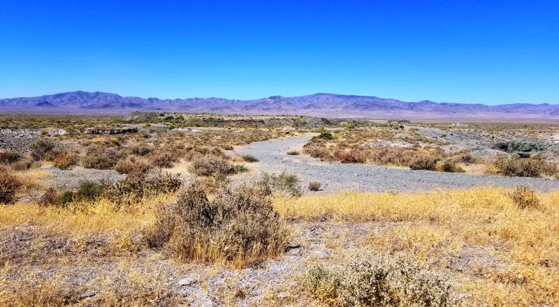 Nevada, Pershing County, 40 Acres Near Lovelock, Parcel 10. TERMS $398/Month