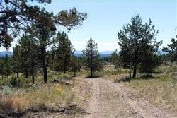 A scenic view of forested land in Oregon's Klamath County, showing a 2.32-acre Klamath Falls Forest Estates Lot with trees and natural terrain.