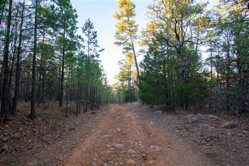 Oklahoma, Latimer  County, 17.77 Acre Stone Bridge II, Lot 92. TERMS $574/Month