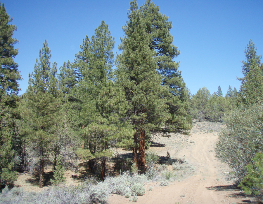 Aerial view of Oregon Klamath County Sprague River Valley lot 13, block 24, showing lush land and surrounding natural scenery.
