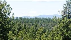 Oregon, Klamath  County,  1.76 Acres Klamath Falls Forest Lot 18.  TERMS $219/Month
