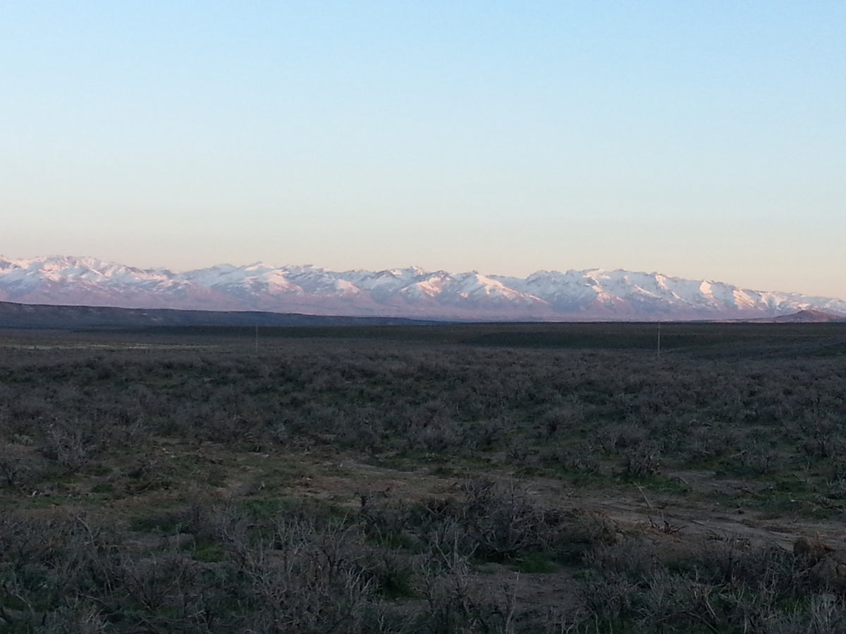 Ruby View Ranchos - 4.93 acres, Elko County, Nevada - photo 1