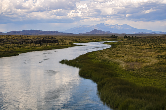 Colorado, Costilla County, 0.50 Acre Rio Grande River, Lots 30 & 31 Unit 1 (River Front)  Adjoining. TERMS $347/Month