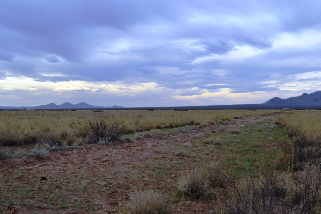 New Mexico, Luna County,  Sunshine Valley Ranchettes, 10 Acre  Unit 10 Block 25. TERMS $118/Month