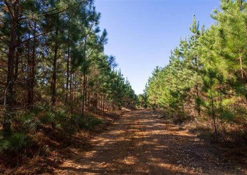 Tennessee, Decatur County, 6 Acre Pine Ridge, Lot 3, Electricity. TERMS $374/Month