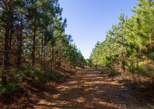 Tennessee, Decatur County, 6.21 Acre Pine Ridge, Lot 11, Creek. TERMS $390/Month